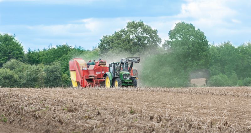 Trecker fährt über ein Feld und holt die Ernte ein. 