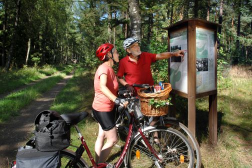 Radfahrer auf dem Ochsenweg am Kropper Busch