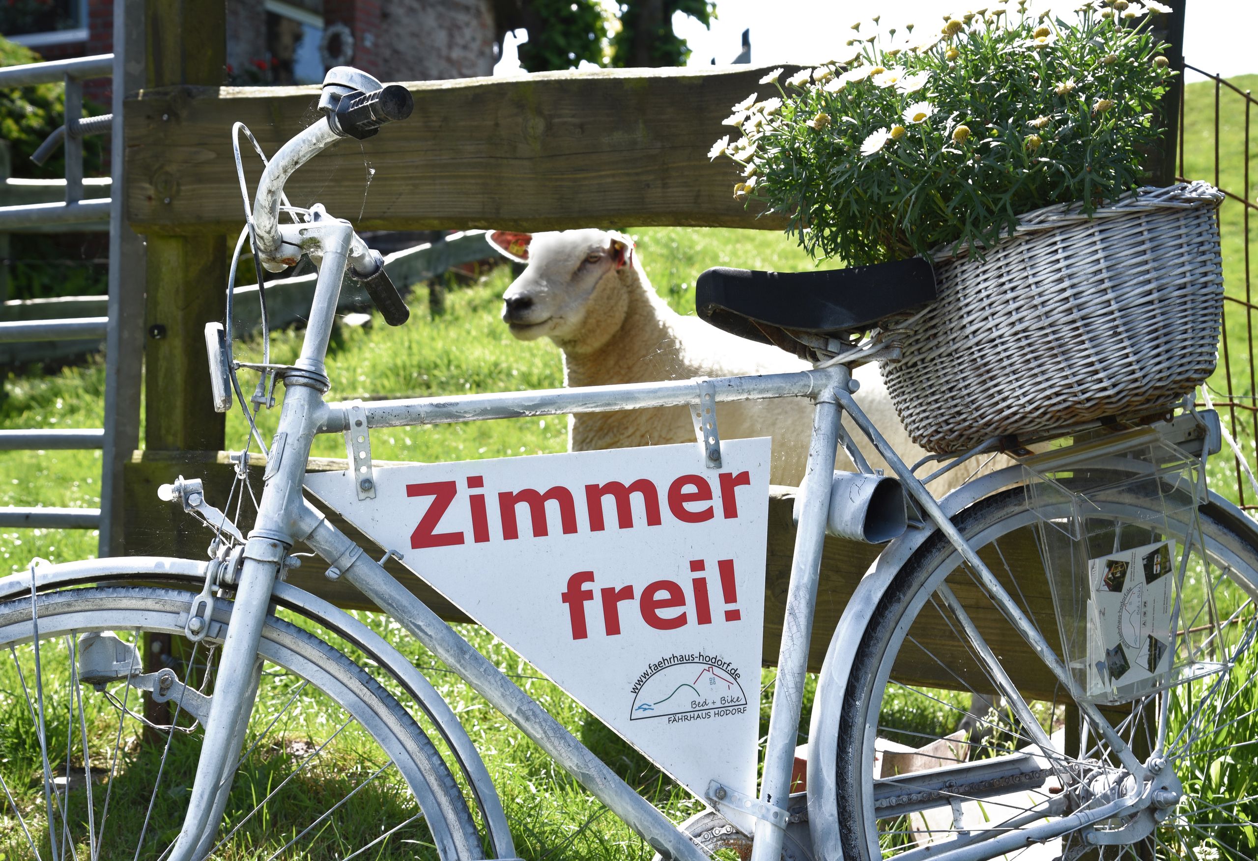 Rad mit Schild "Zimmer frei" und Blumenkorb, im Hintergrund ein Schaft. Kreis Steinburg