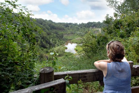 Ausblick in die wunderschöne Natur von Elmshorn