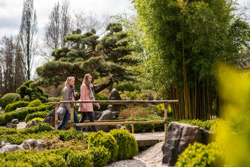 Zwei Besucherinnen genießen ihren Spaziergang durch die Parkanlage des Arboretums Ellerhoop und entdecken den Chinesischen Garten.